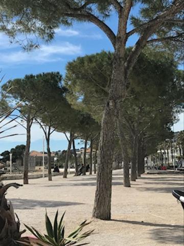 La Ciotat : Superbe Appartement Proche Du Port Экстерьер фото